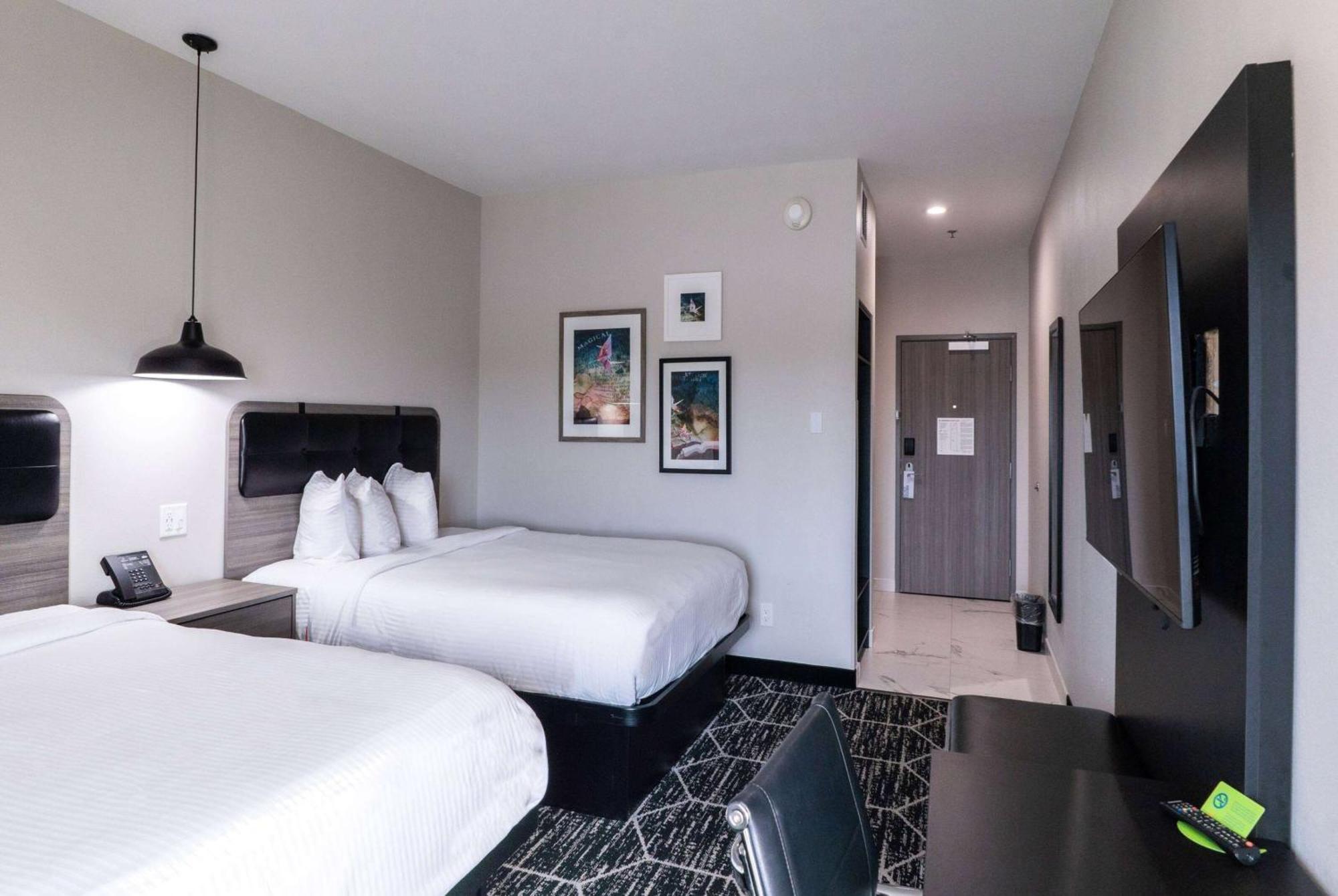 La Quinta Inn & Suites By Wyndham Corpus Christi Southeast Dış mekan fotoğraf
