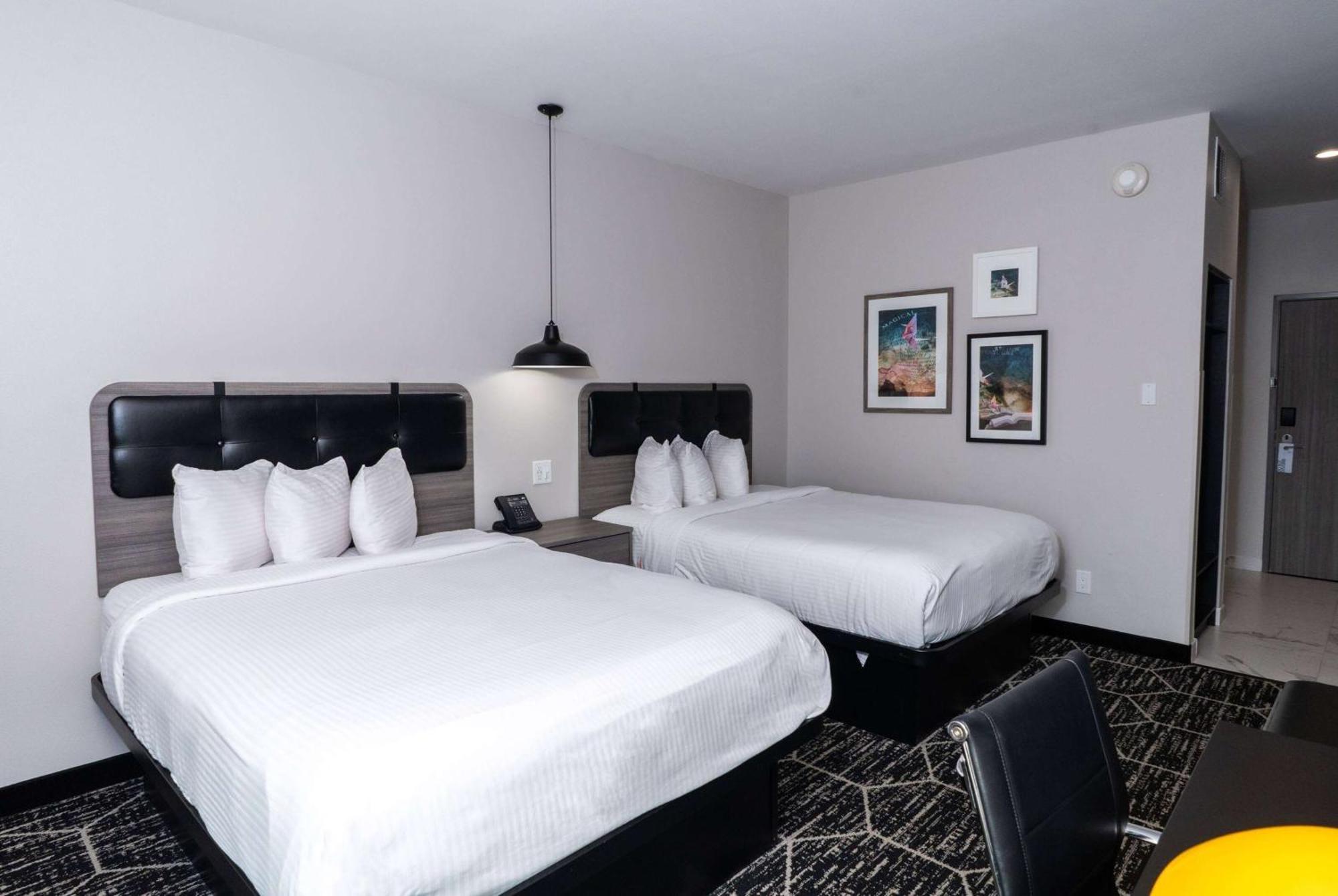 La Quinta Inn & Suites By Wyndham Corpus Christi Southeast Dış mekan fotoğraf